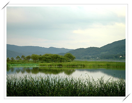 새소리물소리펜션 이미지