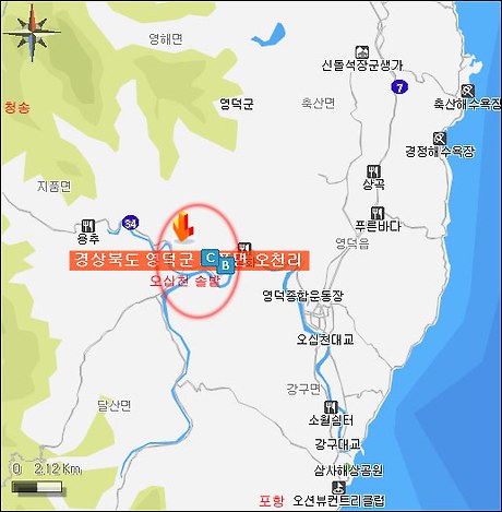 목단꽃이피었습니다. 이미지