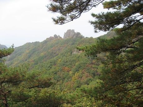 부성생고기 이미지