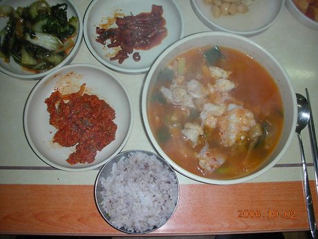 동해곰치 이미지