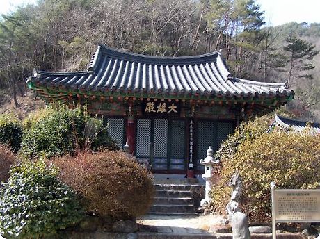 로자니 이미지