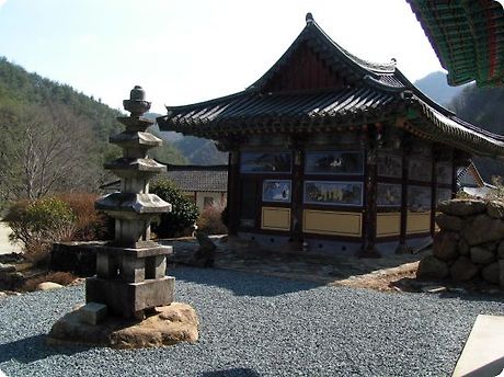 로자니 이미지