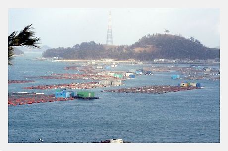 신지대교(신지도) 이미지
