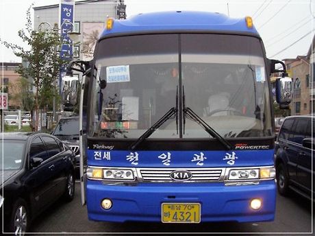 천일관광여행사 이미지