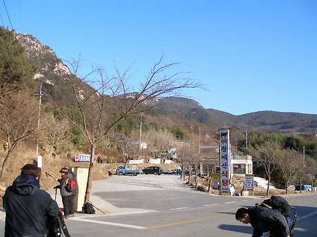 황매산가든 이미지