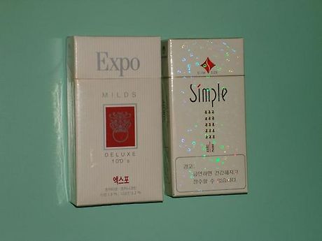 download.blog?fhandle=MERKUUdAZnMzLmJsb2cuZGF1bS5uZXQ6L0lNQUdFLzAvNzEuSlBHLnRodW1i&filename=71.JPG